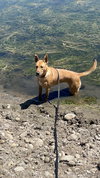 PIPER - Photo 4