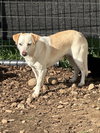 Leroy - Photo 2