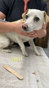Leroy - Photo 8