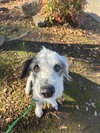 LYLA - Photo 2