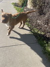 Sweetheart - Photo 4