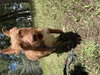 Sweetheart - Photo 2
