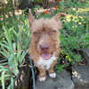 Sweetheart - Photo 5