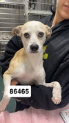 Fran - Photo 2