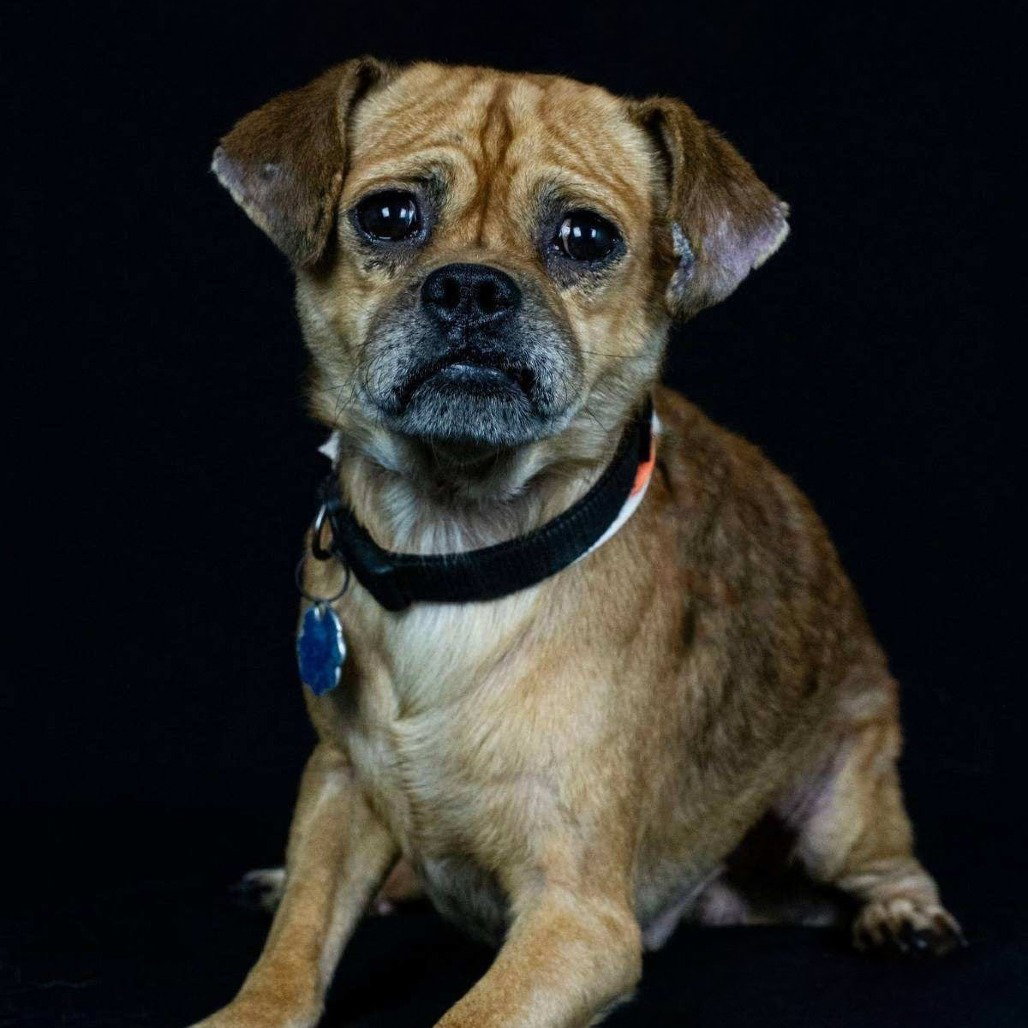 JIMMY Image