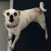 GROVER - Photo 1