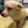 KERMY - Photo 1