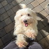 MILDRED - Photo 1