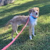MR. BUBBLES - Photo 3