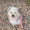 TUBBS - Photo 1