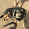 RONNY ROO - Photo 1