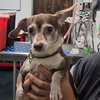 JAKE - Photo 1