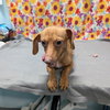 OSCAR - Photo 1
