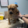 TATER - Photo 1