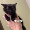 BOOP - Photo 1