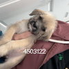 HARMONY - Photo 1