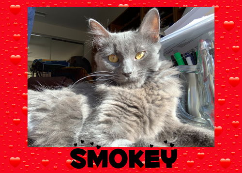 Smokey