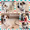 Kendra