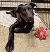 Cindy Lou Who - Photo 2