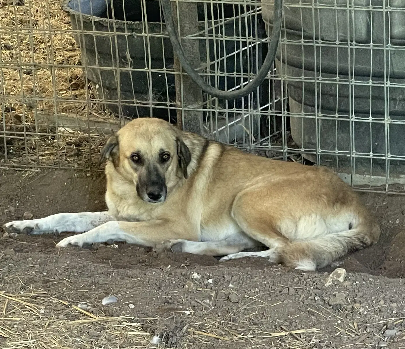 Sasha image 3