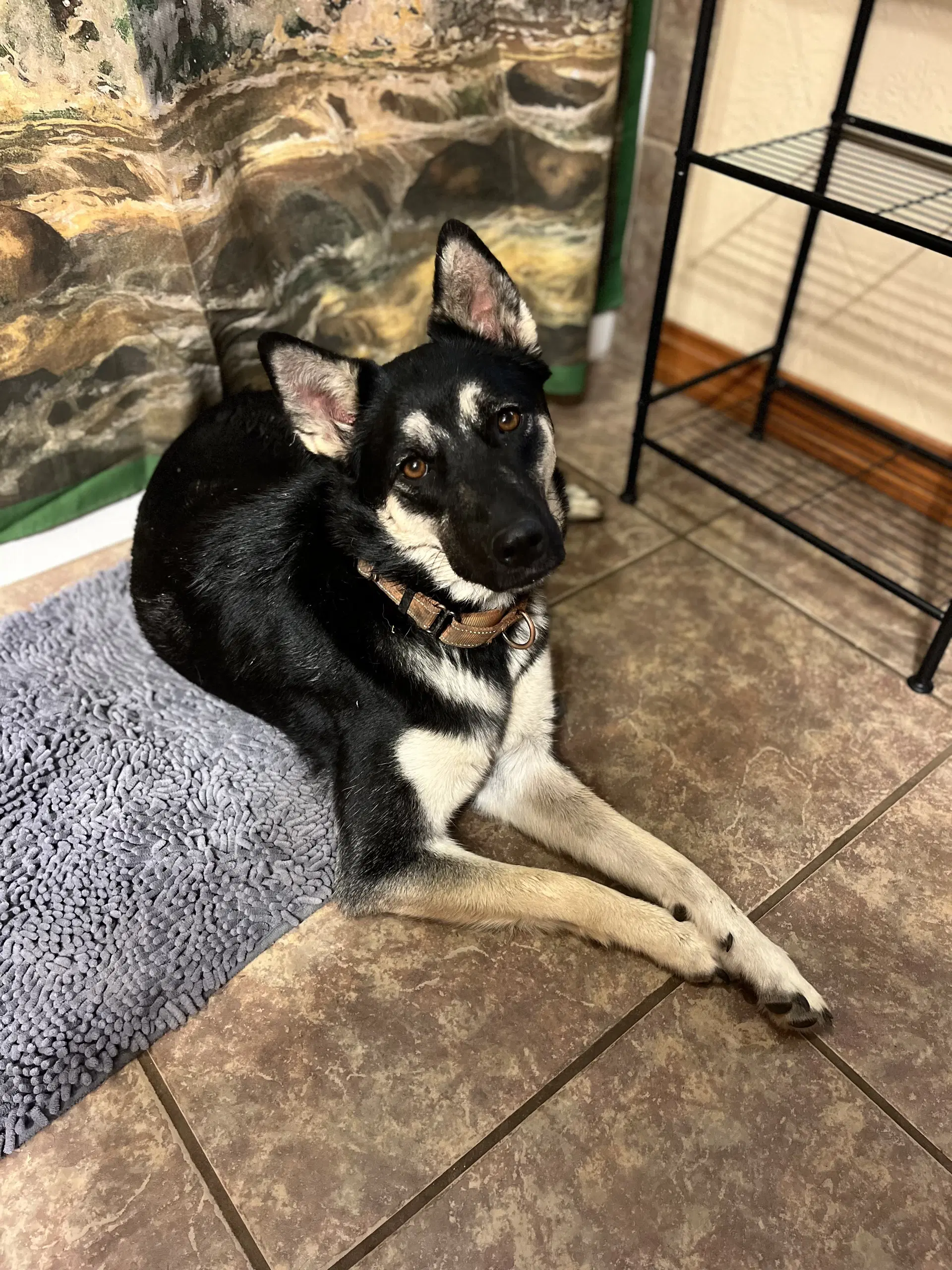 Scout image 4