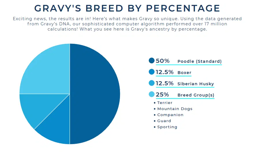 Gravy image 3