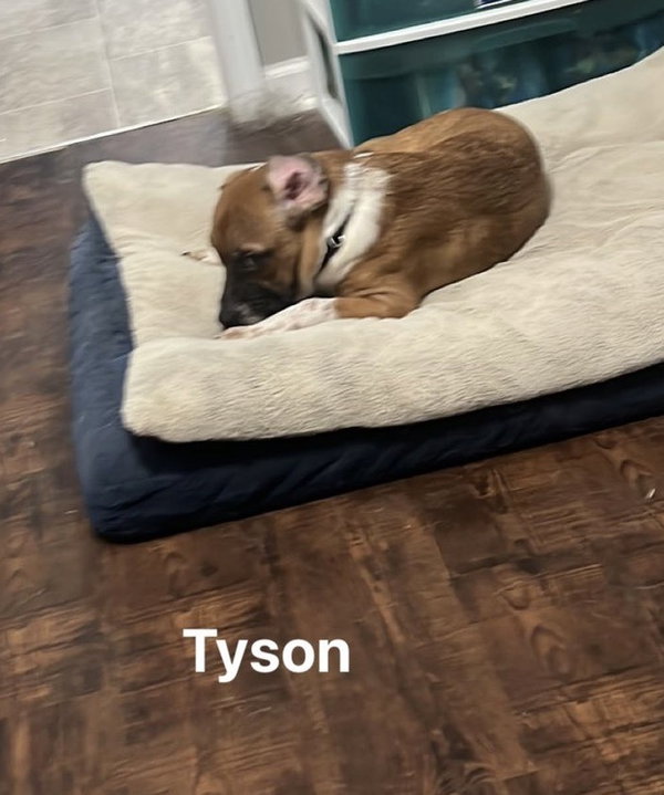 Tyson