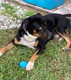 Luke (FL) - Photo 3