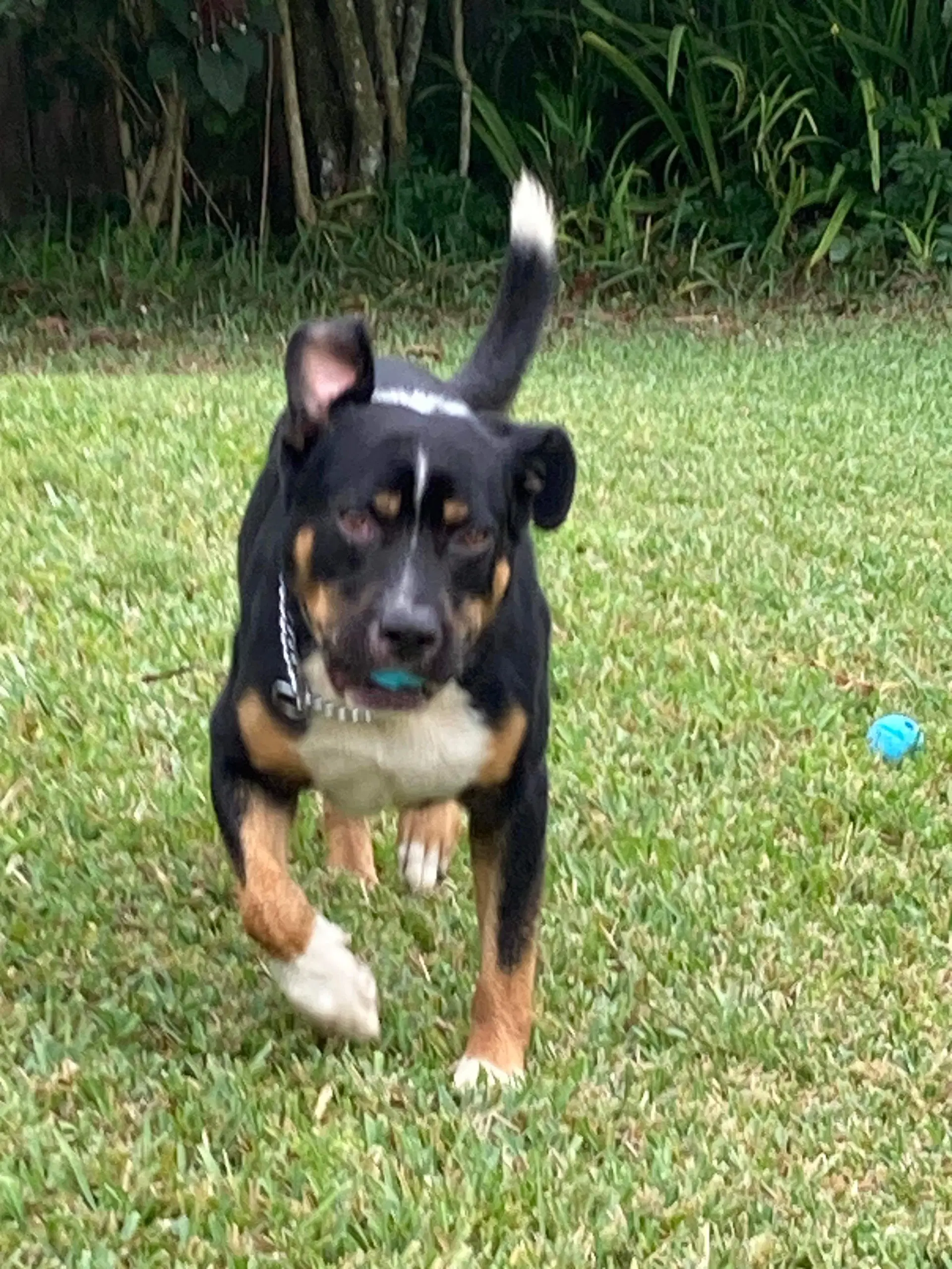 Luke Fl image 2