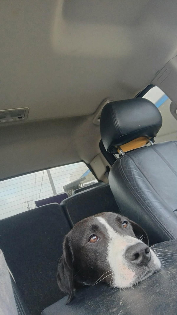 Bo