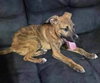 Bonnie - Photo 10