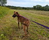 Bonnie - Photo 2
