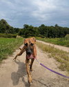 Bonnie - Photo 3