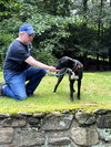 Buttercup - Photo 3