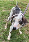 Darla - Photo 2
