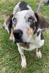 Darla - Photo 5