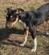 Nova - Photo 9