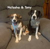 Natasha - Photo 3