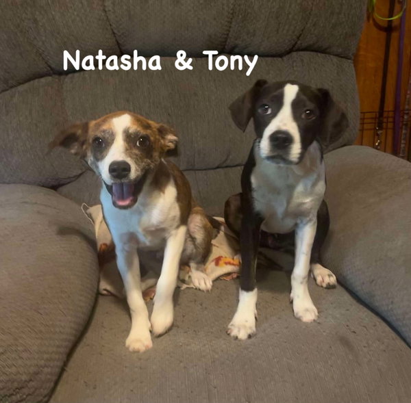 Natasha