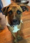 Jethro - Photo 2