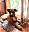 Jethro - Photo 4