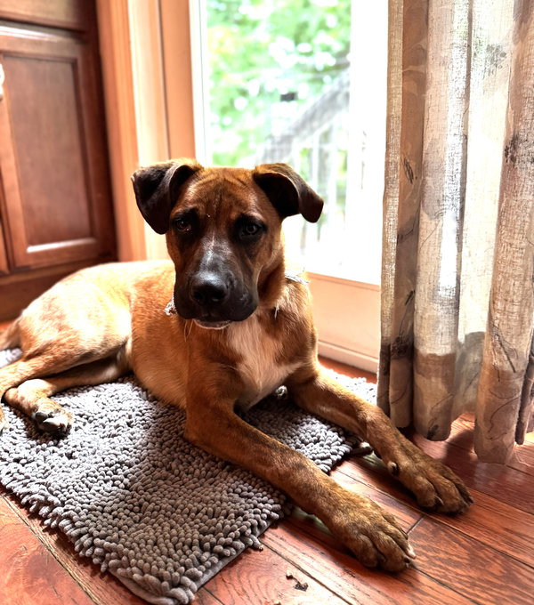 Jethro