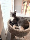 Theo - Photo 2