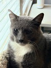 Theo - Photo 4