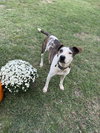 Princess - Photo 2