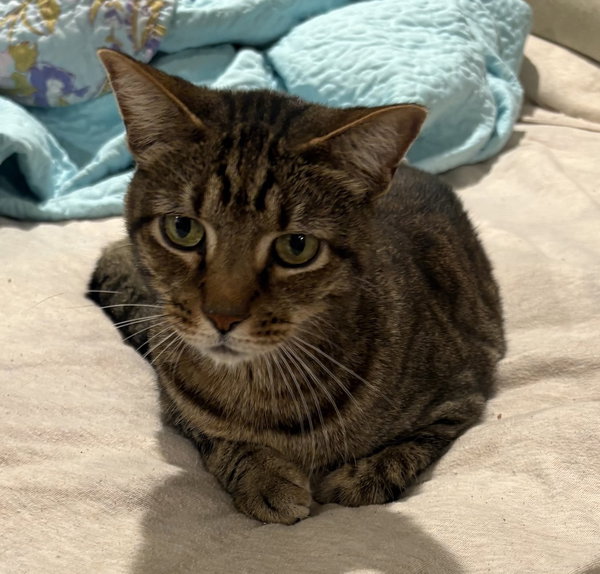 Sam