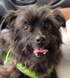 Little Buddy - Photo 3
