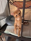 Takis - Photo 1