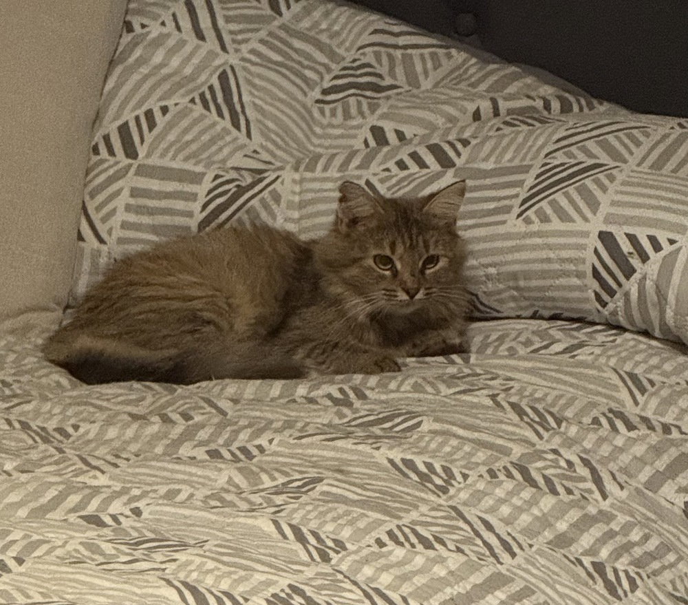 Rosie