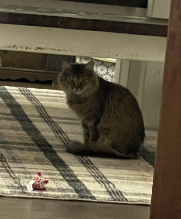 Rosie